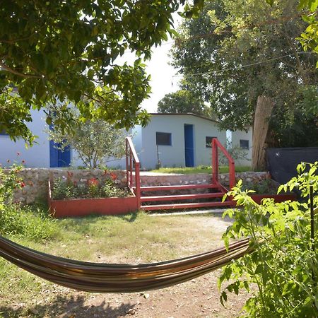 The Sea Turtle Camp Hotel Dhermi Exterior photo