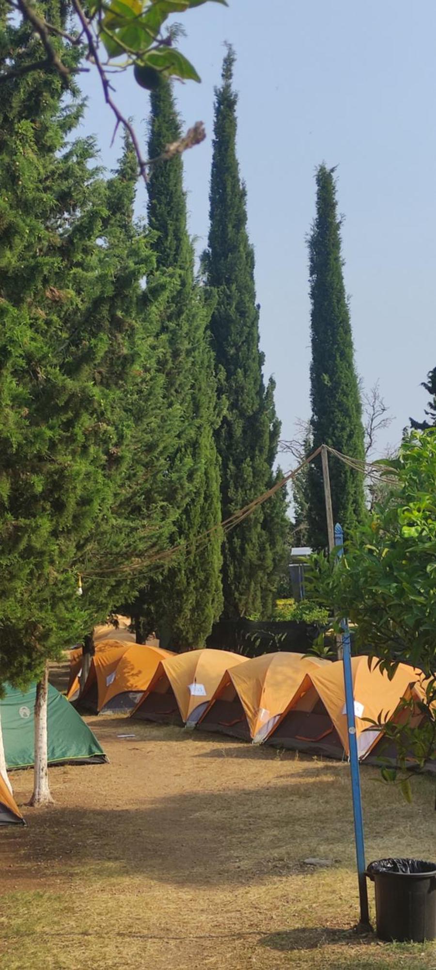 The Sea Turtle Camp Hotel Dhermi Room photo