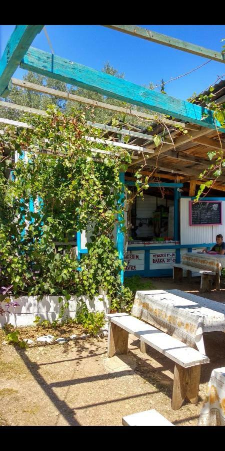 The Sea Turtle Camp Hotel Dhermi Exterior photo