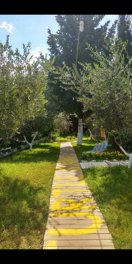The Sea Turtle Camp Hotel Dhermi Exterior photo